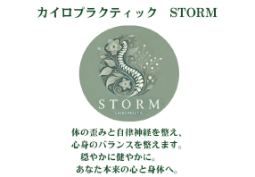 カイロプラクティック STORM